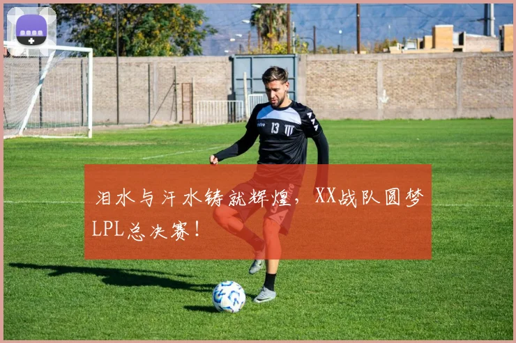 泪水与汗水铸就辉煌,XX战队圆梦LPL总决赛!