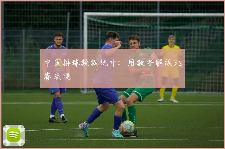 中国排球数据统计：用数字解读比赛表现