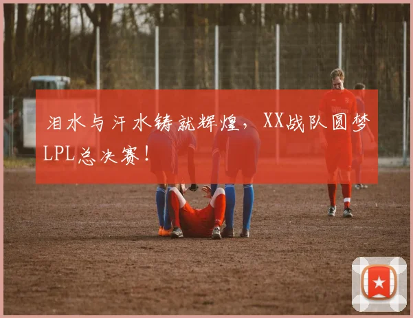 泪水与汗水铸就辉煌，XX战队圆梦LPL总决赛！